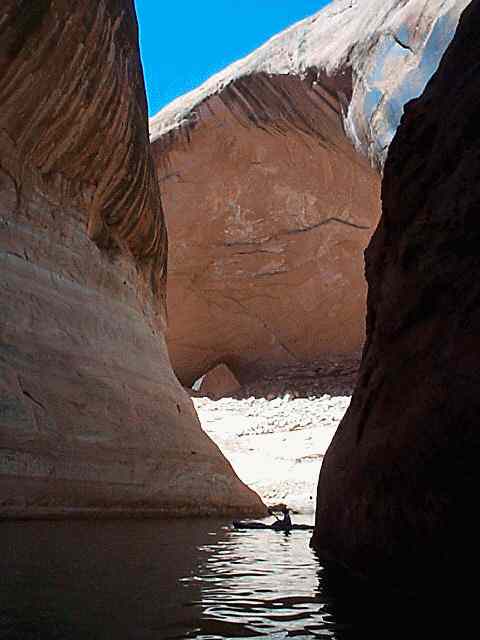 Photo by Paul Tibbetts