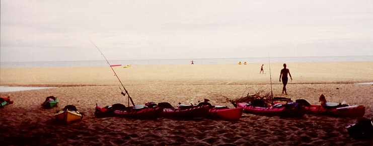 Photo by Lois Miyashiro