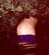 Getting to the 2nd chamber was a tight fit for some! (125 Kb)